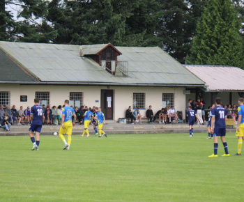 Družobný futbalový zápas