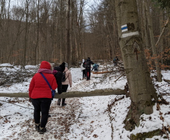 Silvestrovský výstup na Roháčku