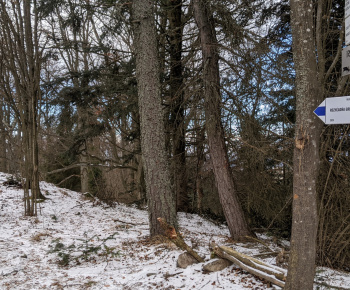 Silvestrovský výstup na Roháčku