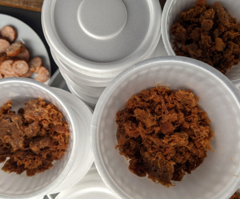 Fašiangová obecná zabíjačka