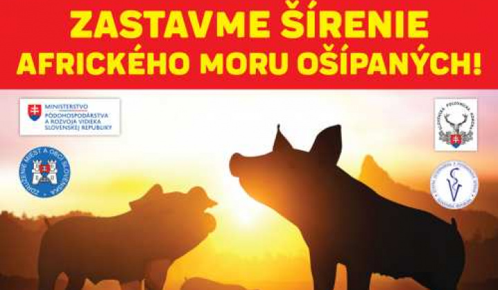 Africký mor ošípaných