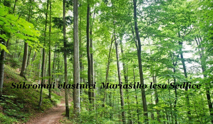 Výzva členom pozemkového spoločenstva - Súkromní vlastníci Mariašiho lesa