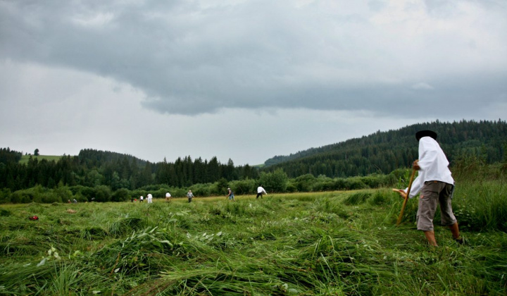 Kosenie pod Čiernou Horou