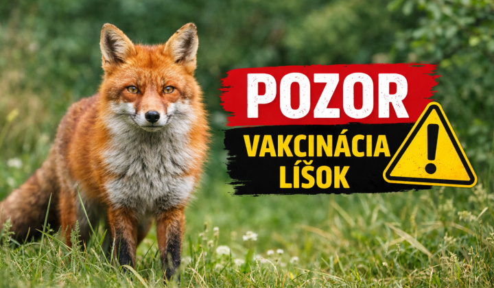 Vakcinácia líšok proti besnote